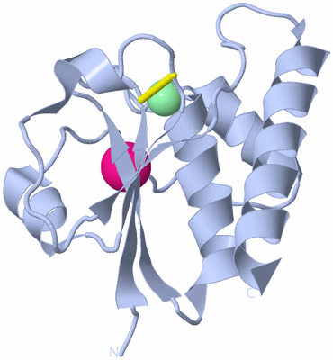 Image Biological Unit 1