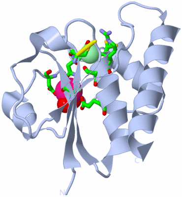 Image Biol. Unit 1 - sites