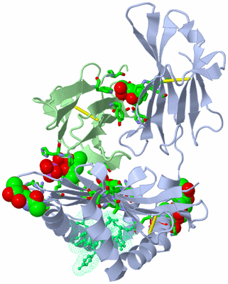 Image Asym./Biol. Unit - sites