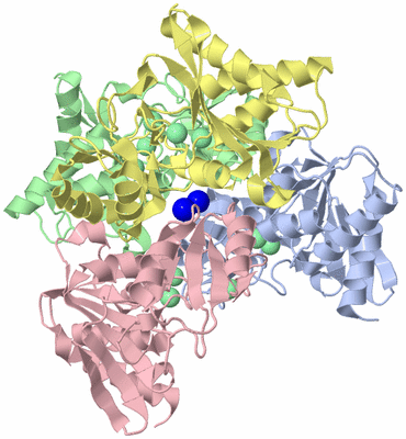 Image Asym./Biol. Unit