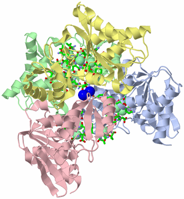 Image Asym./Biol. Unit - sites