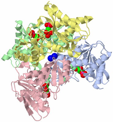 Image Asym./Biol. Unit