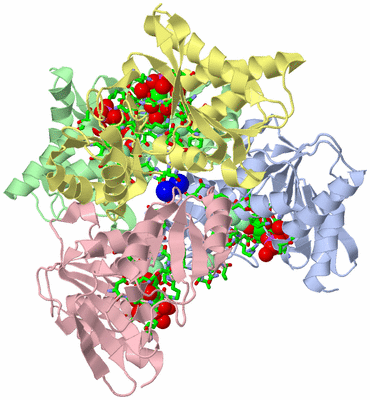 Image Asym./Biol. Unit - sites