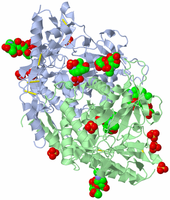 Image Asym./Biol. Unit