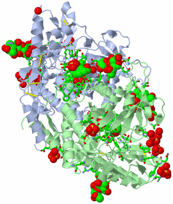 Image Asym./Biol. Unit - sites