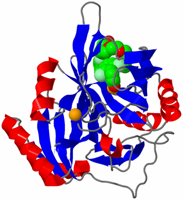 Image Asymmetric Unit