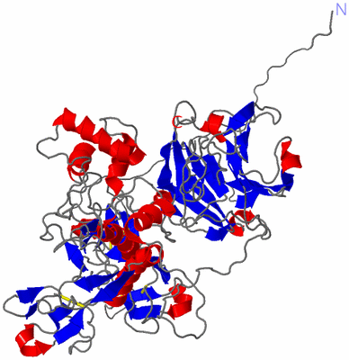 Image Theoretical Model