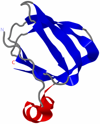 Image NMR Structure - model 1