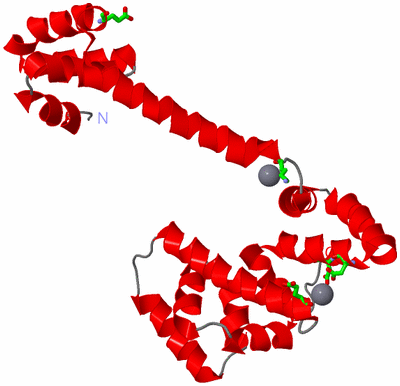 Image Asym. Unit - sites