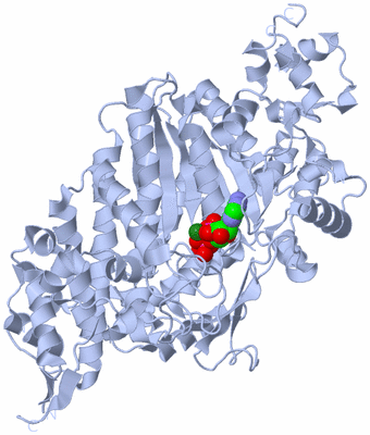 Image Biological Unit 1