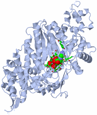 Image Biol. Unit 1 - sites