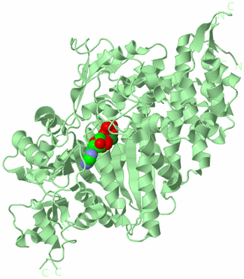 Image Biological Unit 2