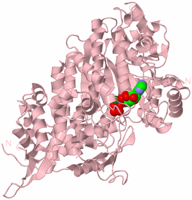 Image Biological Unit 3