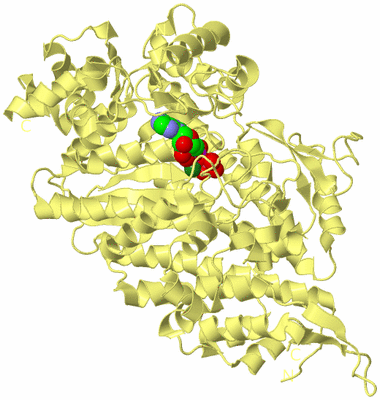 Image Biological Unit 4