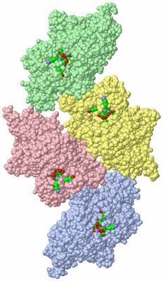 Image Asym. Unit - sites