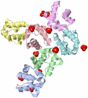 Image Biological Unit 1