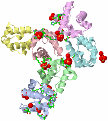 Image Biol. Unit 1 - sites