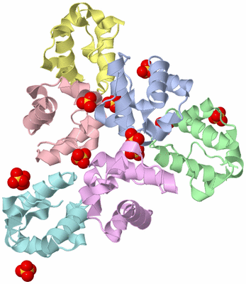 Image Biological Unit 2