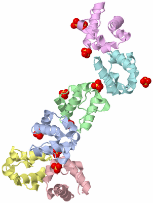 Image Biological Unit 3