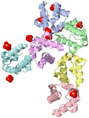 Image Biological Unit 4