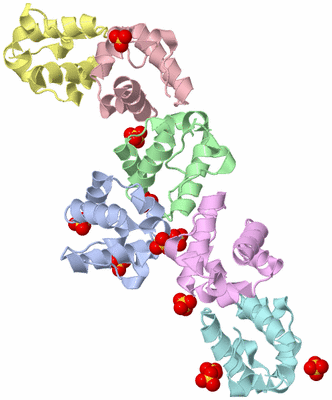 Image Biological Unit 5