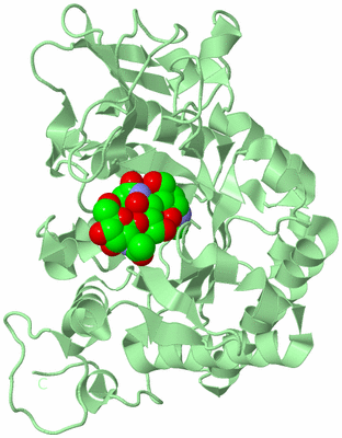 Image Biological Unit 2