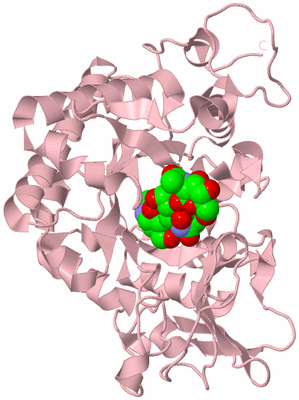 Image Biological Unit 3