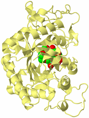 Image Biological Unit 4