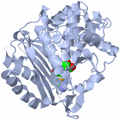 Image Biological Unit 1