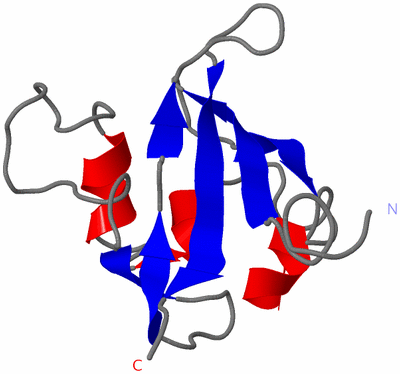 Image NMR Structure - model 1