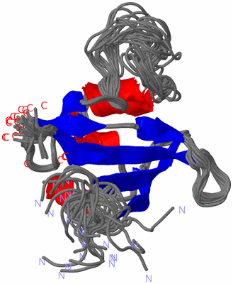 Image NMR Structure - all models