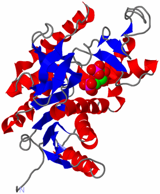 Image Asymmetric Unit