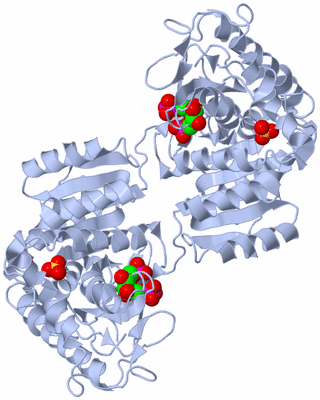 Image Biological Unit 2