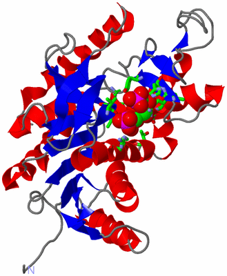 Image Asym. Unit - sites