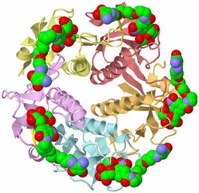 Image Asym./Biol. Unit