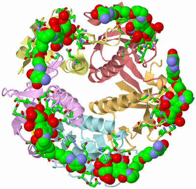 Image Asym./Biol. Unit - sites