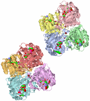 Image Asymmetric Unit