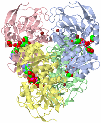 Image Biological Unit 1