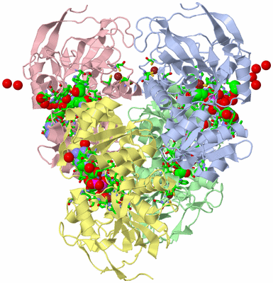 Image Biol. Unit 1 - sites