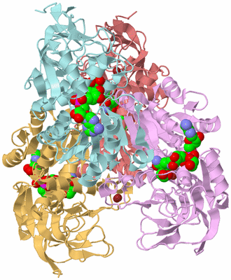 Image Biological Unit 2