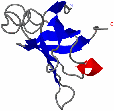 Image NMR Structure - model 1