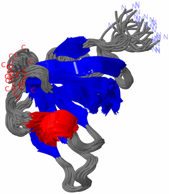 Image NMR Structure - all models