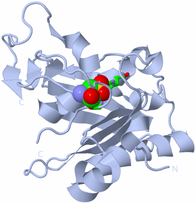 Image Biol. Unit 1 - sites