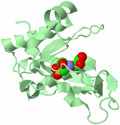 Image Biological Unit 2