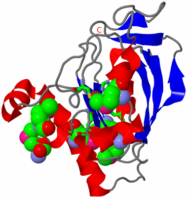 Image Asym./Biol. Unit - sites