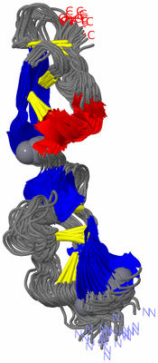 Image NMR Structure - all models