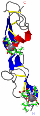 Image NMR Structure - model 1, sites