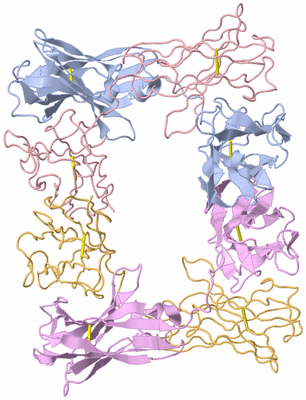 Image Asymmetric Unit