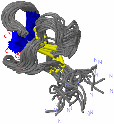 Image NMR Structure - all models