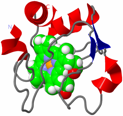 Image NMR Structure - model 1